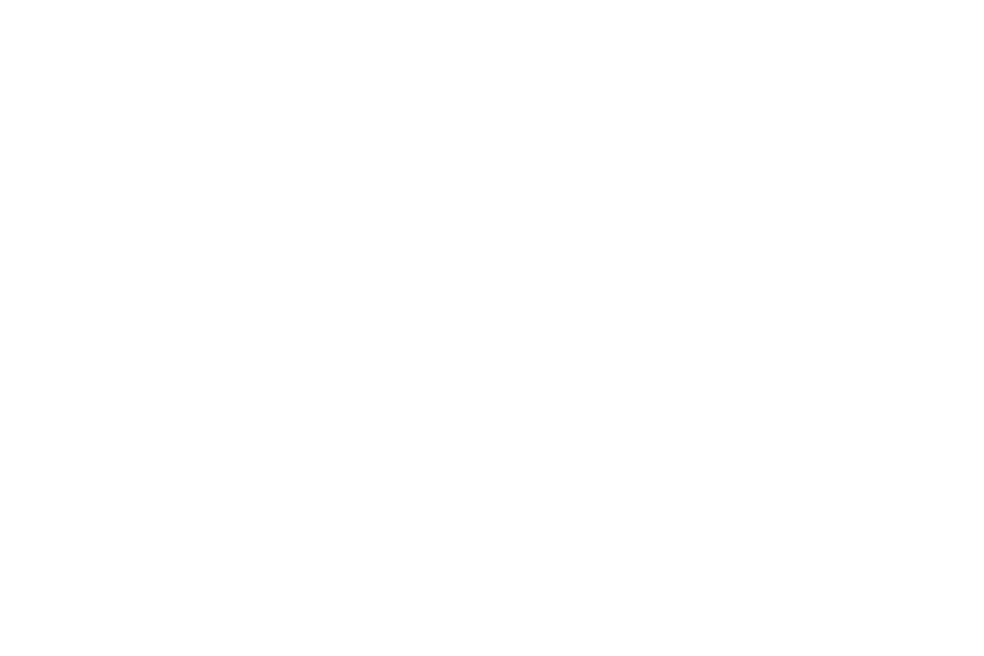 peter-parler-preis2020